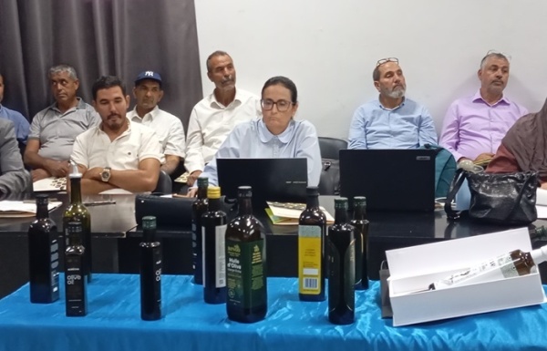 سيدي بوزيد زيت الزيتون البيولوجي يعز ز إشعاع الجهة في الأسواق العالمية