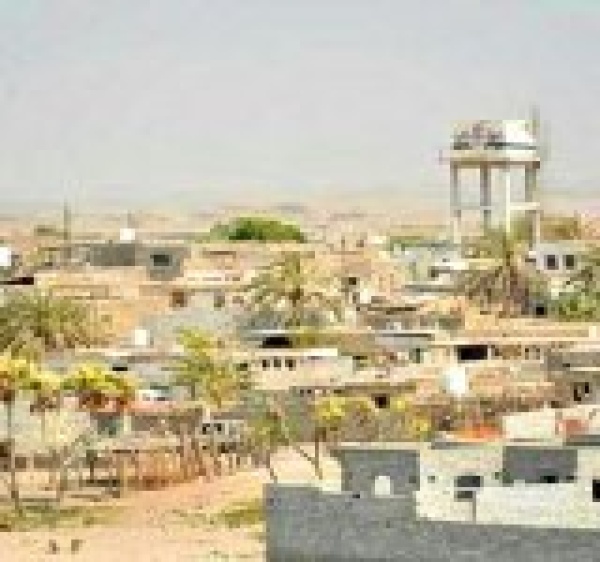 الدريهمي تستعد غدا لانطلاق مهرجان تراثي احتفاء بموسم التمور وذكرى المولد النبوي الدريهمي تستعد غدا لانطلاق مهرجان تراثي احتفاء بموسم التمور وذكرى المولد النبوي