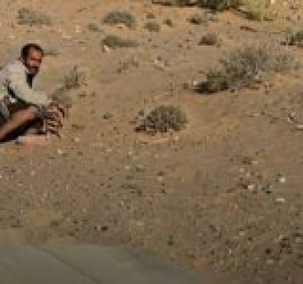 إدانات محلية وعربية واسعة لجريمة دهس مرتزقة العدو السعودي للأسرى في ذوباب إدانات محلية وعربية واسعة لجريمة دهس مرتزقة العدو السعودي للأسرى في ذوباب