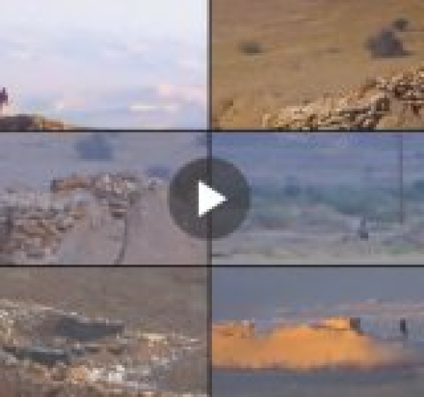 مشاهد مرعبة لعمليات قنص نوعية في جبهات مأرب فيديو