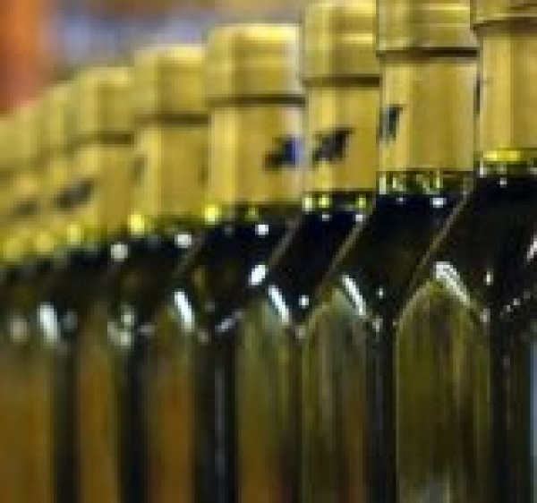 تونس 1 57 مليار دولار عائدات صادرات زيت الزيتون خلال 9 أشهر