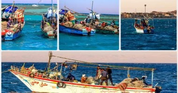 احذر الحبس والغرامة حال الإخلال باشتراطات إنشاء الأقفاص السمكية
