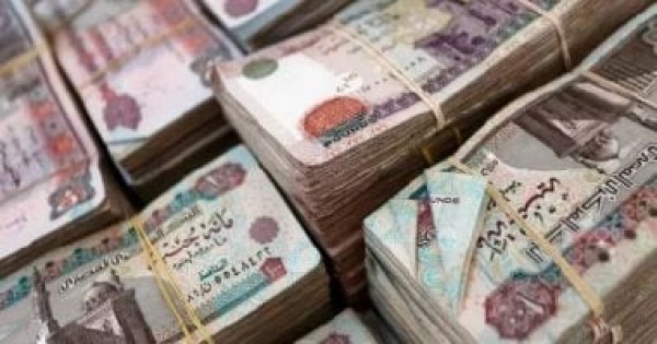 الرجال يستحوذون على 67 من المحافظ الإلكترونية في مصر
