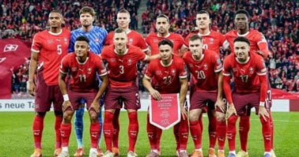 مشهد مرعب قبل كأس العالم الثعابين تحاصر مقر منتخب سويسرا مشهد مرعب قبل كأس العالم الثعابين تحاصر مقر منتخب سويسرا