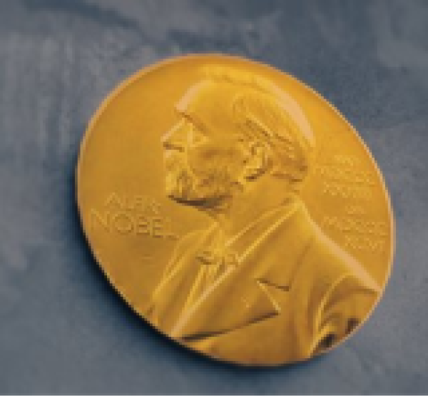 ترق ب عالمى لإعلان جوائز نوبل 2025 والبداية مع جائزة الطب ترق ب عالمى لإعلان جوائز نوبل 2025 والبداية مع جائزة الطب