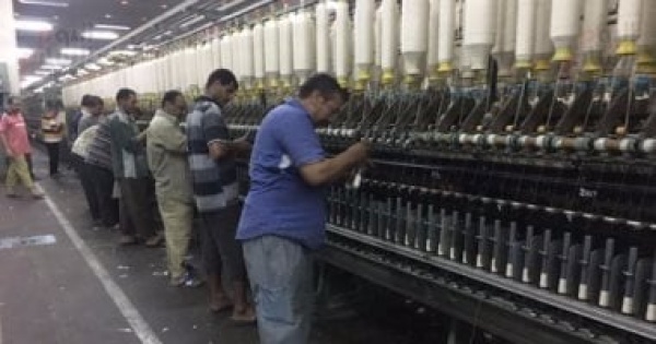 القطن المصري يعود للمصنع 76 مليار جنيه لإعادة إحياء صناعة الغزل والنسيج القطن المصري يعود للمصنع 76 مليار جنيه لإعادة إحياء صناعة الغزل والنسيج