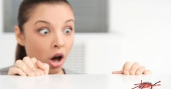 بدون سموم وكيماويات خطوات لطرد حشرات الصيف من منزلك بدون سموم وكيماويات خطوات لطرد حشرات الصيف من منزلك