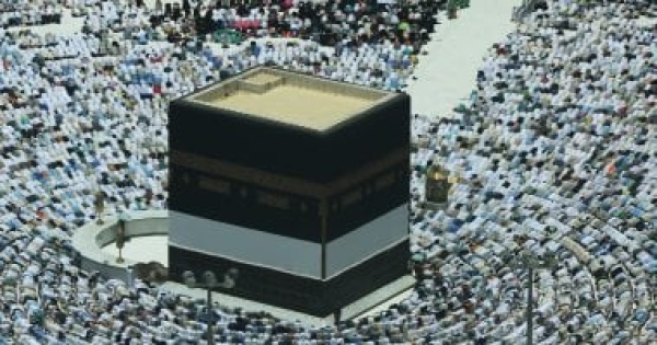 وزارة الحج والعمرة تحصد جائزة أفضل مؤسسة حكومية متميزة رقميا