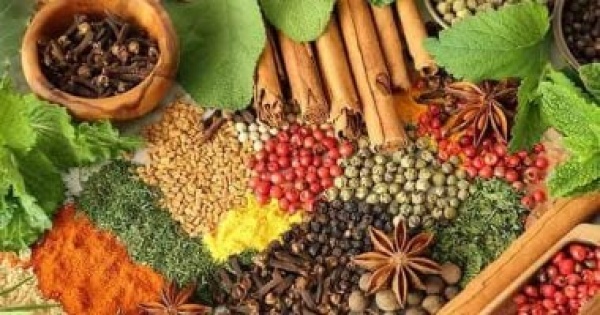 استعد للعام الدراسى أعشاب تساعد على تقوية الذاكرة والتركيز استعد للعام الدراسى أعشاب تساعد على تقوية الذاكرة والتركيز