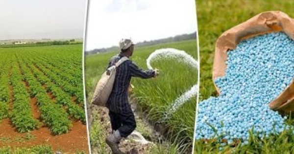 تقرير رسمي من المحاسبات مصر للكيماويات تحتفظ بأموال عاطلة وتبيع بالخسارة تقرير رسمي من المحاسبات مصر للكيماويات تحتفظ بأموال عاطلة وتبيع بالخسارة