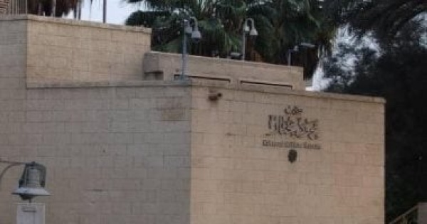 فعاليات اليوم معرض الإرث بمتحف محمود مختار و شاطئ الفن يصل إلى جمهور الغردقة فعاليات اليوم معرض الإرث بمتحف محمود مختار و شاطئ الفن يصل إلى جمهور الغردقة