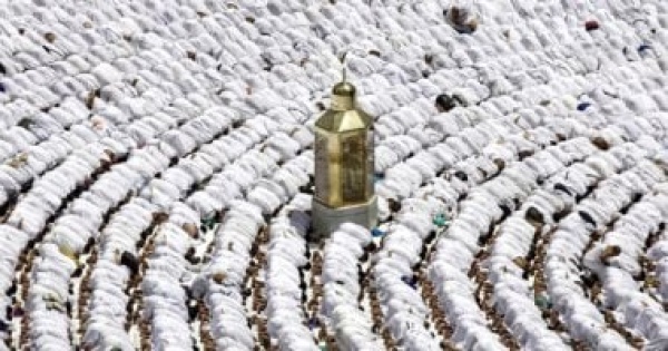 التحصيل بالجنيه المصرى التزامات على شركات السياحة المنفذة لرحلات العمرة 1448