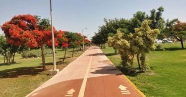 إجراءات لخفض وفيات أمراض الجهاز التنفسي بتحسين جودة الهواء بخطة 2026 2027 إجراءات لخفض وفيات أمراض الجهاز التنفسي بتحسين جودة الهواء بخطة 2026 2027