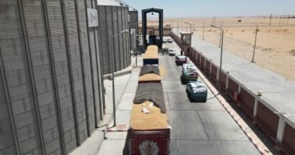 شبح الشطب يهدد مطاحن شرق الدلتا 24 تحفظا على القوائم المالية