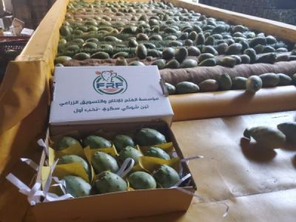 من عمق الأزمات يولد الأمل كيف تحو ل كفاح السنين إلى منارة للتحول الاقتصادي اليمني من عمق الأزمات يولد الأمل كيف تحو ل كفاح السنين إلى منارة للتحول الاقتصادي اليمني