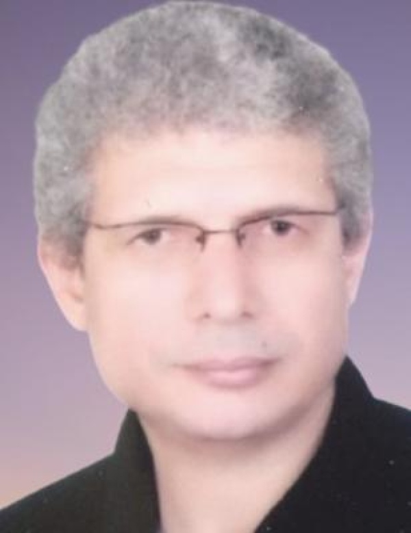 حصانة الدولة في مرحلة العبور استراتيجية البديل الإيراني لحماية السيادة حصانة الدولة في مرحلة العبور استراتيجية البديل الإيراني لحماية السيادة