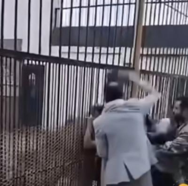 حادثة مفجعة بحديقة الحيوان بصنعاء أسد جائع يلتهم يد طفل وسط غياب تام للإدارة فيديو
