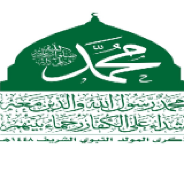 ربيع محمد ربيع محمد