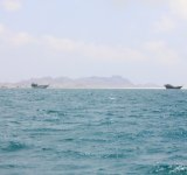 وزارة النقل 73 سفينة عبرت باب المندب خلال يومين بانسيابية كاملة