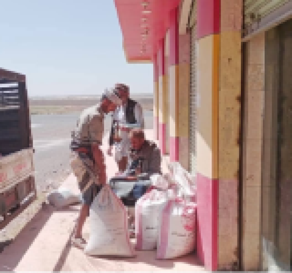 مؤسسة الحبوب تشتري 40 طنا من الفاصولياء من مزارعي ذمار