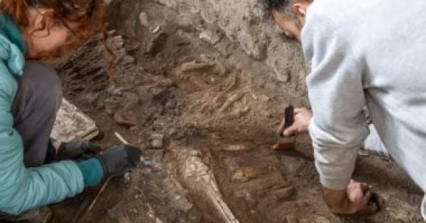اكتشاف هيكل لحصان كان يحاول الهروب من بركان فيزوف منذ 2000 عام اكتشاف هيكل لحصان كان يحاول الهروب من بركان فيزوف منذ 2000 عام