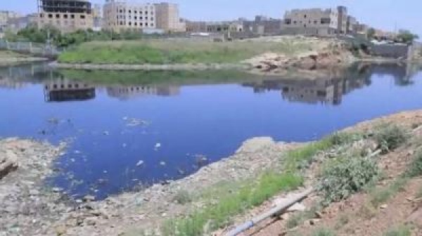 خضروات بنكهة الصرف الصحي تحقيق يستقصي خطر ا يهدد المائدة اليمنية