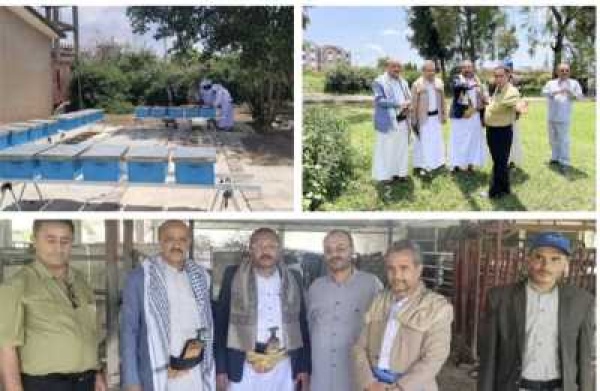 جامعة إب وكيل وزارة الزراعة في زيارة ميدانية لكلية الزراعة وعلوم الأغذية جامعة إب وكيل وزارة الزراعة في زيارة ميدانية لكلية الزراعة وعلوم الأغذية