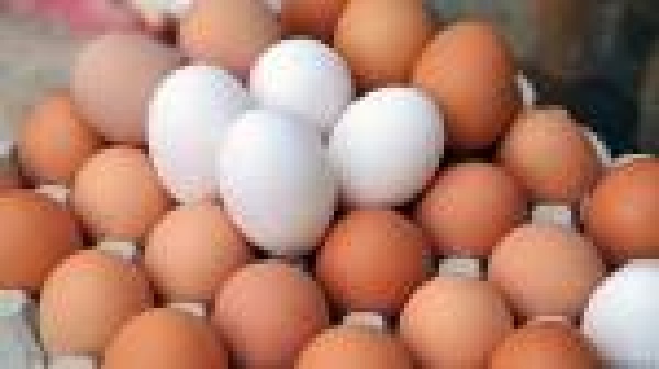 سبب منع البيض سبب منع البيض