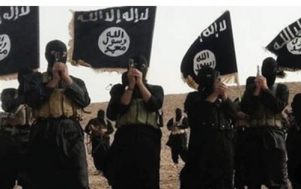 دواعش الشرع في اليمن لدعم آلسعوديه دواعش الشرع في اليمن لدعم آلسعوديه