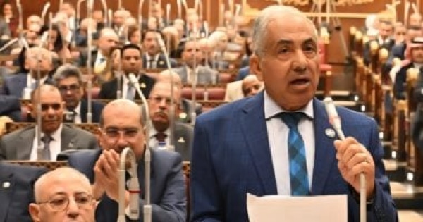معركة تأمين غذاء المصريين وكيل الشيوخ منظومة قوية لامتصاص الصدمات الخارجية وحماية الأسواق