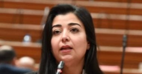 ماريان ملاك لقاء الرئيس السيسي وابن زايد يجسد شراكة استراتيجية راسخة ماريان ملاك لقاء الرئيس السيسي وابن زايد يجسد شراكة استراتيجية راسخة