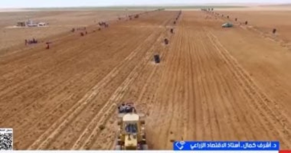 أستاذ اقتصاد زراعى 54 ألف فدان جديدة تعزز التنمية الزراعية في سيناء أستاذ اقتصاد زراعى 54 ألف فدان جديدة تعزز التنمية الزراعية في سيناء