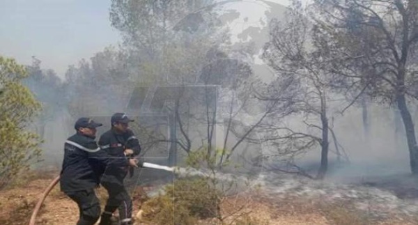 جندوبة استمرار جهود إطفاء حريق جبل بوعديلة والسيطرة على حريقين بمنطقة الطبة والوراهنية
