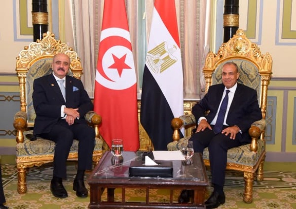 وزير الخارجية يلتقي نظيره المصري بالقاهرة