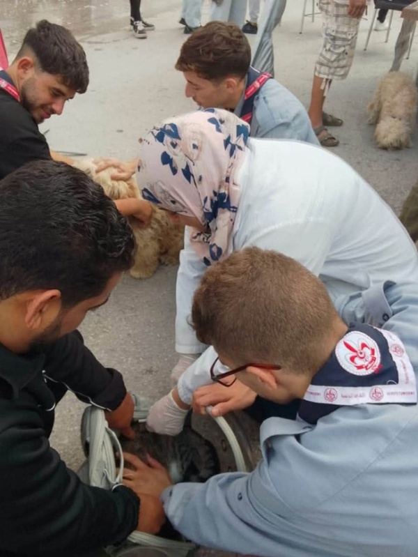 رأس الجبل تلقيح 726 كلبا وقطا في إطار حملة معا أقوى