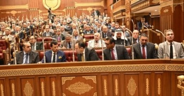 خطة التنمية الاقتصادية 2026 2027 الشيوخ استكمال مشروعات حياة كريمة أولوية