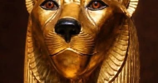 قصة هلاك الإنسانية الطوفان الذى أرسل لهلاك البشر