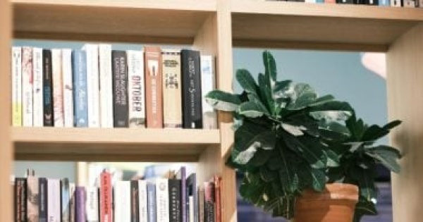مش مجرد ديكور ماذا تقول أرفف مكتبتك عن شخصيتك مش مجرد ديكور ماذا تقول أرفف مكتبتك عن شخصيتك
