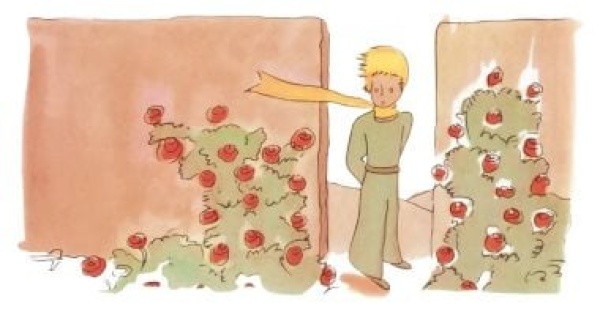 لماذا ي ترجم كتاب الأمير الصغير حتى اليوم بعد 80 عاما من صدوره