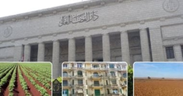سقوط التعويض المليونى كيف أنقذت النقض العدالة من حكم استئنافي أخطأ تطبيق القانون