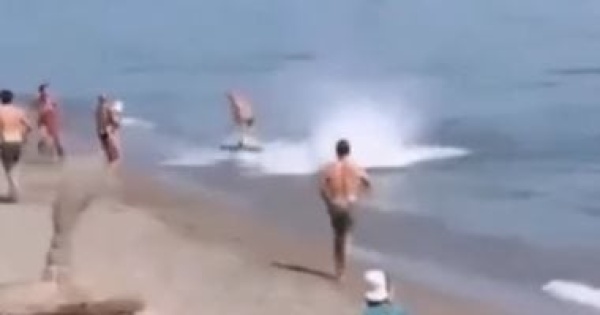سمكة 300 كيلو تطارد مصطاف ا حتى الشاطئ فى إسبانيا فيديو