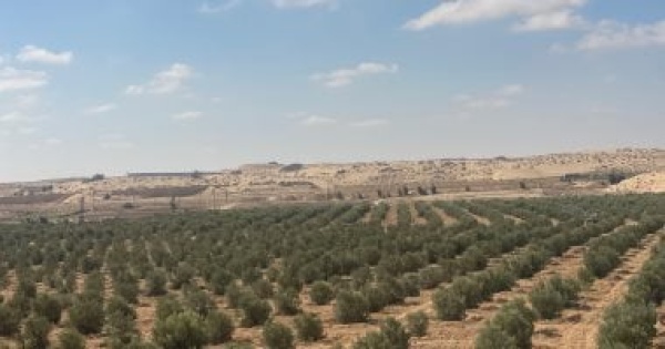 أحمد إمبابي تنمية سيناء تمثل عبور ا جديد ا بعد انتصار أكتوبر