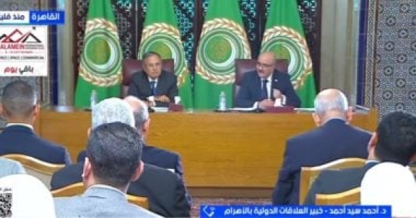 خبير علاقات دولية المنطقة العربية تدفع ثمن صراعات الآخرين