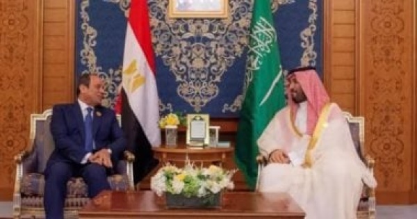 النائب إسلام التلوانى العلاقات المصرية السعودية تتميز بخصوصية كبيرة