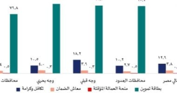 مسح الأسرة المصرية بطاقة التموين أكثر برامج الحماية الاجتماعية إفادة للأسر مسح الأسرة المصرية بطاقة التموين أكثر برامج الحماية الاجتماعية إفادة للأسر