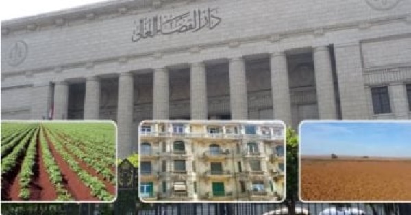 عندما تستغل الوكالة للسمسرة النقض تعيد رسم الحدود بين حقوق الموكل والوكيل عندما تستغل الوكالة للسمسرة النقض تعيد رسم الحدود بين حقوق الموكل والوكيل