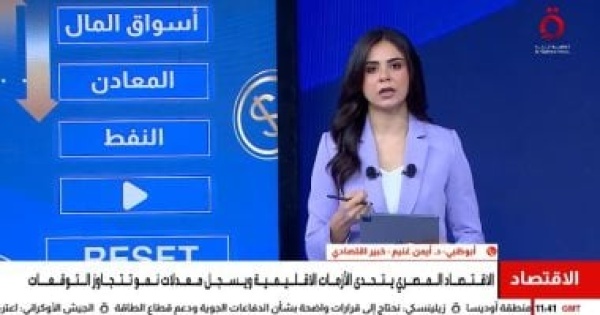 أستاذ إدارة أعمال الإصلاح الاقتصادي وارتفاع الاحتياطي يدعمان صمود الاقتصاد