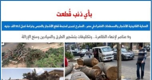 بأى ذنب قطعت الحماية القانونية للأشجار والمسطحات الخضراء عن برلمانى