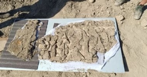زخارف ونقوش كوفية اكتشاف أثرى نادر من العصر السامانى فى أوزبكستان زخارف ونقوش كوفية اكتشاف أثرى نادر من العصر السامانى فى أوزبكستان