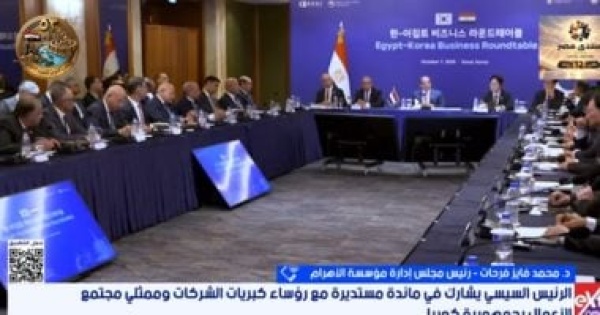 محمد فايز فرحات جولة الرئيس السيسي الآسيوية تدعم مسار التنمية في مصر